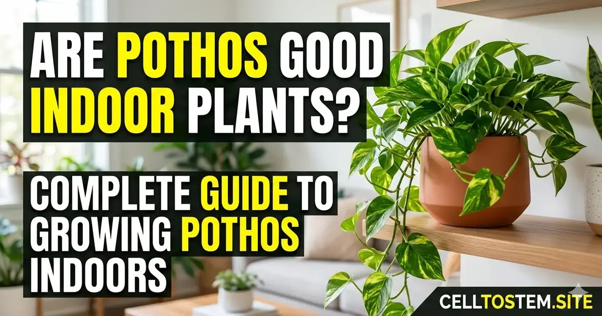 Are Pothos Good Indoor Plants