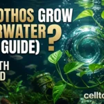 Can Pothos Grow Underwater 2026